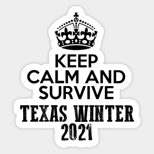 Keep Calm And Survive Texas Winter 2021 blizzard Sticker